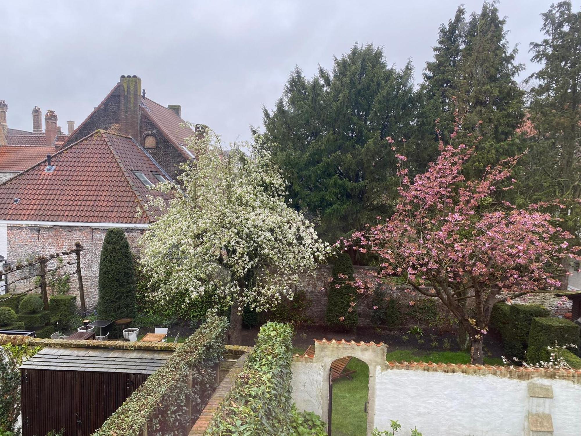 Residence9Brugia Zewnętrze zdjęcie